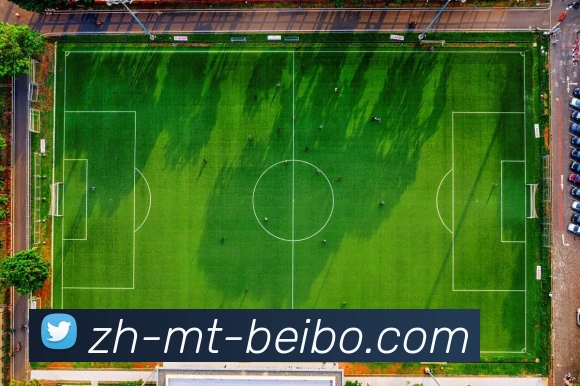 BB体育下载APP 封面图